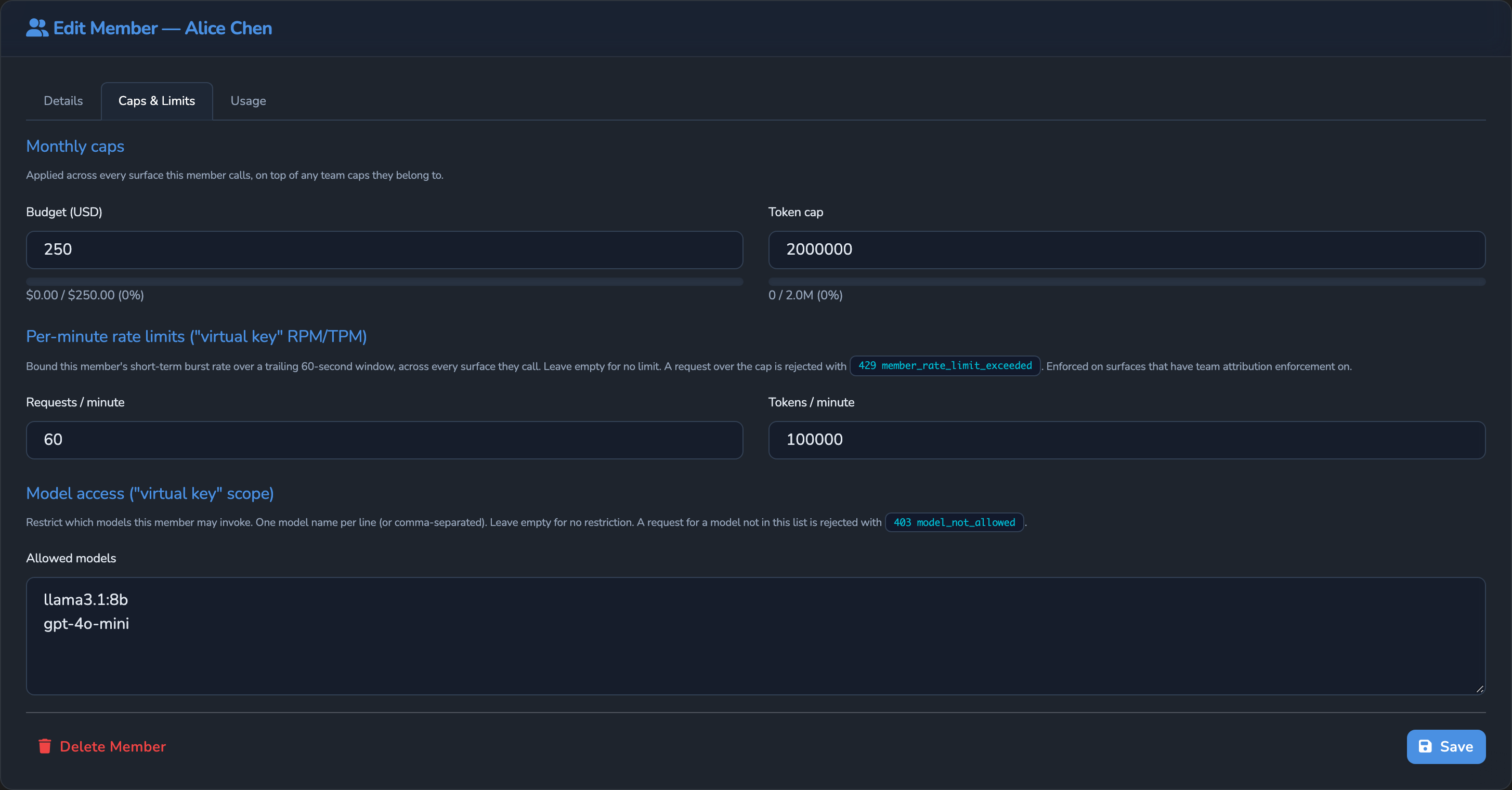 A Member's Caps & Limits tab, showing its monthly Budget and Token cap, per-minute Requests and Tokens limits, and Allowed models